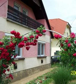 Panni Néni Apartman