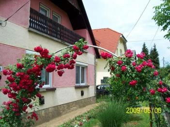 Panni Néni Apartman Balatonboglár