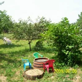 Panni Néni Apartman Balatonboglár - Medence/kert