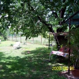 Panni Néni Apartman Balatonboglár - Medence/kert