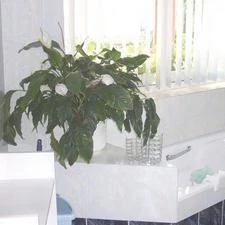 Zsazsa Apartman Balatonboglár - Fürdőszoba