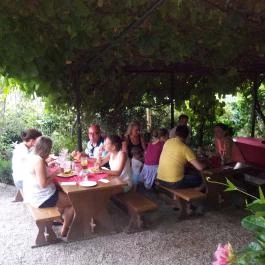 Szőlőskert Étterem Balatonfenyves - Egyéb