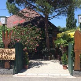 Szőlőskert Étterem Balatonfenyves - Egyéb