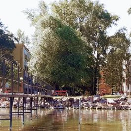 Fenyves Apartman Balatonfenyves - Medence/kert