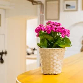 Ádám Apartman Balatonföldvár - Egyéb