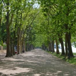 Hotel Anna Villa Balatonföldvár - Egyéb