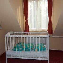 Hotel Family Balatonföldvár - Egyéb