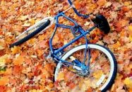 Hotel Három Hattyú Balatonföldvár