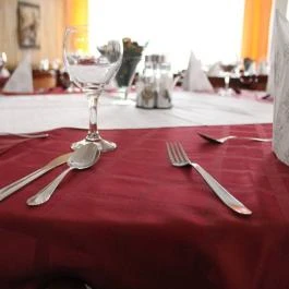 Hotel Három Hattyú Balatonföldvár - Vendéglátás