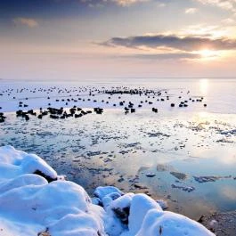 Hotel Három Hattyú Balatonföldvár - Egyéb