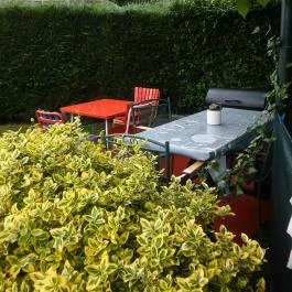 Irénke Apartman Balatonföldvár - Egyéb