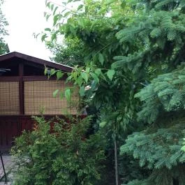 Páros faház Balatonföldvár - Egyéb