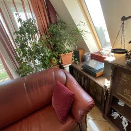 Tamás Apartman Balatonföldvár - Egyéb