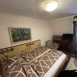 Tamás Apartman Balatonföldvár - Egyéb