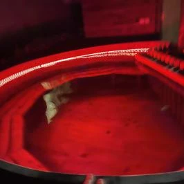 Tamás Apartman Balatonföldvár - Egyéb