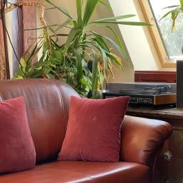 Tamás Apartman Balatonföldvár - Egyéb