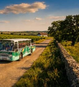 46° Balaton Borbusz