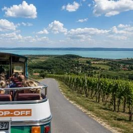 46° Balaton Borbusz Balatonfüred - Egyéb
