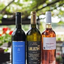 Baricska Csárda Balatonfüred - Egyéb