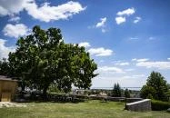 Figula Pincészet Balatonfüred