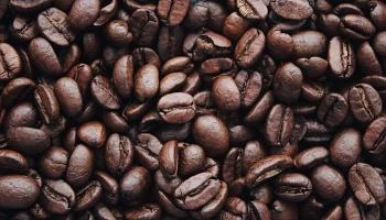 Pazar Coffee Company Balatonfüred