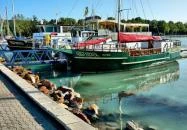Balatonfüredi Hajóállomás Balatonfüred