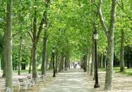 Balatonfüred - Tagore sétány