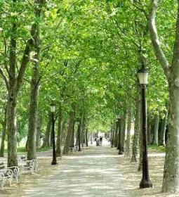 1. legjobb látnivaló: Tagore sétány