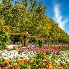 Tagore sétány Balatonfüred - Egyéb