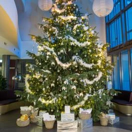 Aura Hotel Balatonfüred - Belső