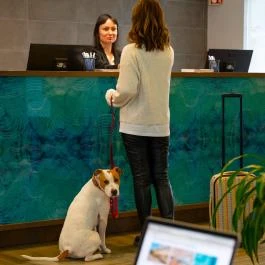 Akadémia Hotel Balatonfüred - Belső