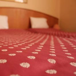 Hotel Blaha Lujza Balatonfüred - Egyéb