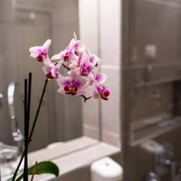 Hotel Margaréta Balatonfüred - Szobák