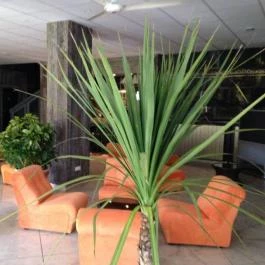 Hotel Uni Balatonfüred - Belső