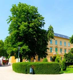 Ipoly Hotel Boutique Rooms & Suites