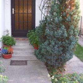 Németh Apartman Balatonfüred - Egyéb