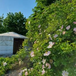 Jurta Spirit Hotel Balatongyörök - Egyéb