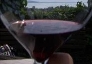 Lekics Pince & Vendégház Balatongyörök