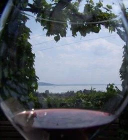 Lekics Pince & Vendégház