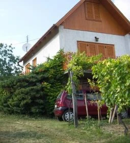 Lekics Pince & Vendégház