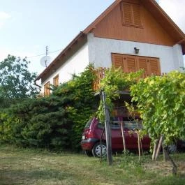 Lekics Pince & Vendégház Balatongyörök - Medence/kert