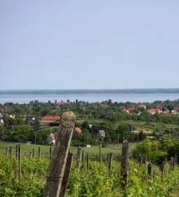 Lekics Pince & Vendégház