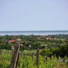 Lekics Pince & Vendégház Balatongyörök - Környék