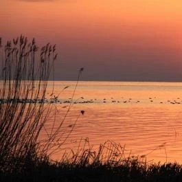 Star Villa Balatongyörök - Egyéb