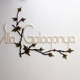 Villa Galagonya Balatongyörök - Egyéb