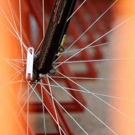 Bringatanya Balatonkenese - Egyéb