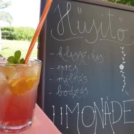 Zsanett Hotel Balatonkeresztúr - Medence/kert