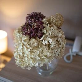 Zsanett Hotel Balatonkeresztúr - Szobák