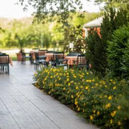 Zsanett Hotel Balatonkeresztúr - Medence/kert