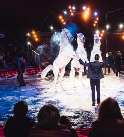 Magyar Nemzeti Cirkusz